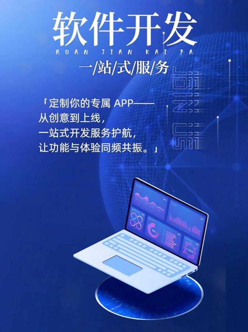 软件定制开发：解锁企业独特需求的秘密武器